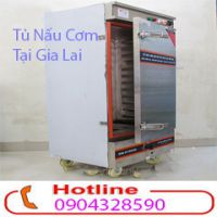 Phân phối các loại tủ nấu cơm công nghiệp giá siêu rẻ tại Gia Lai